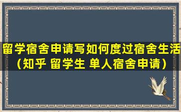 留学宿舍申请写如何度过宿舍生活（知乎 留学生 单人宿舍申请）